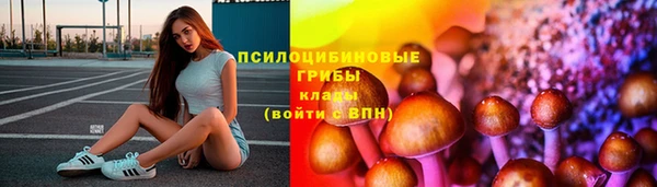 соль курить ск Верея